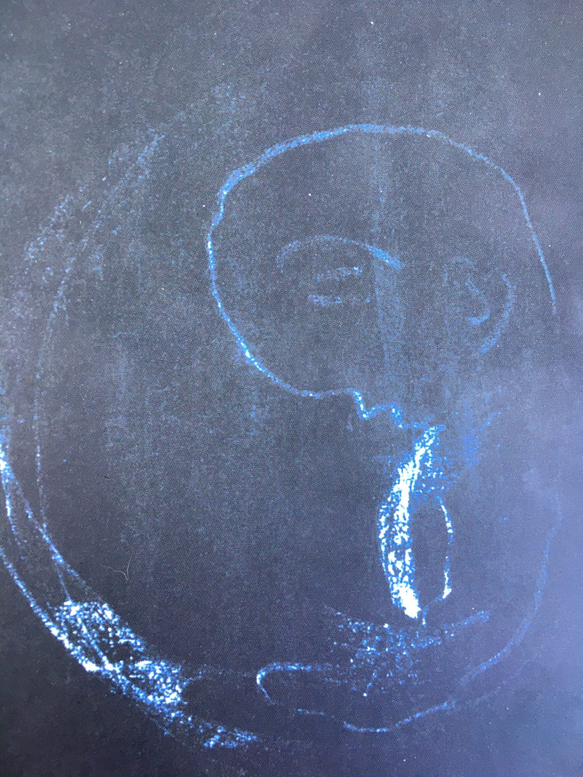 chalk drawing of baby in utero by Rudolf Steiner
